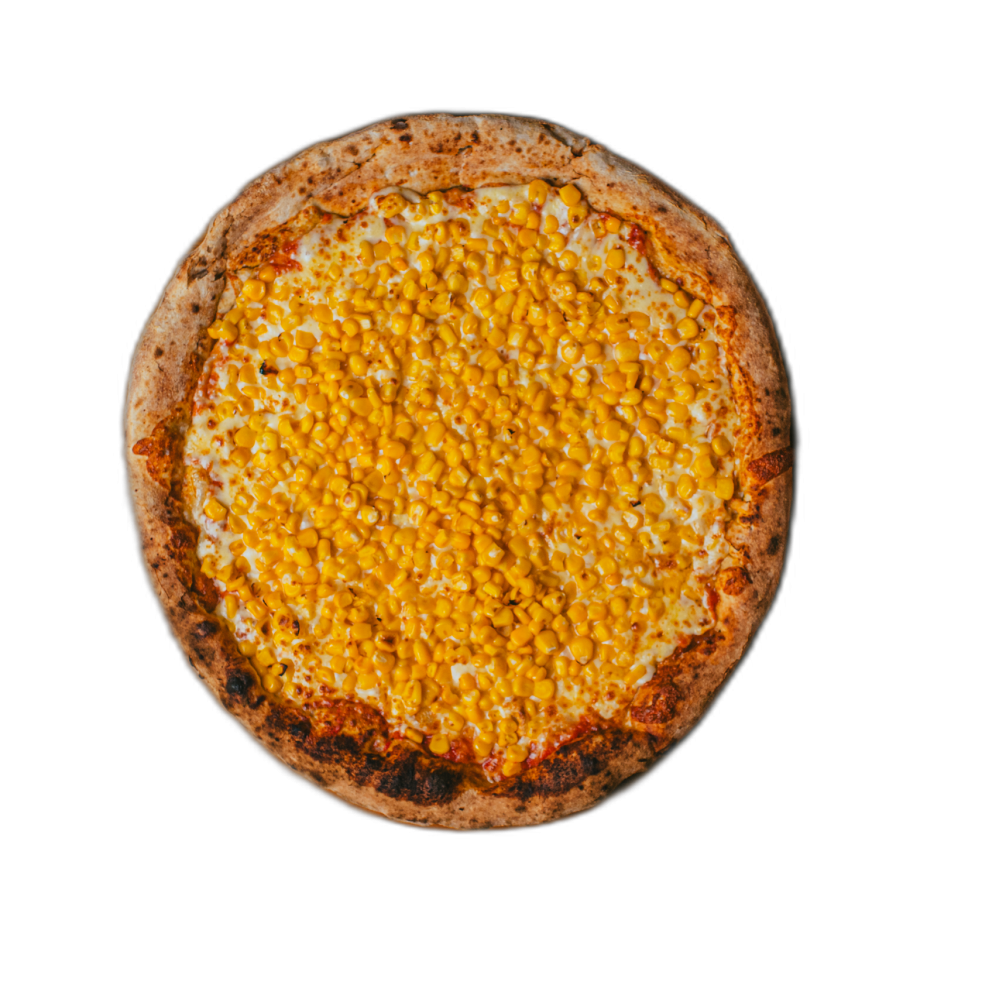 ALVORADA1045267